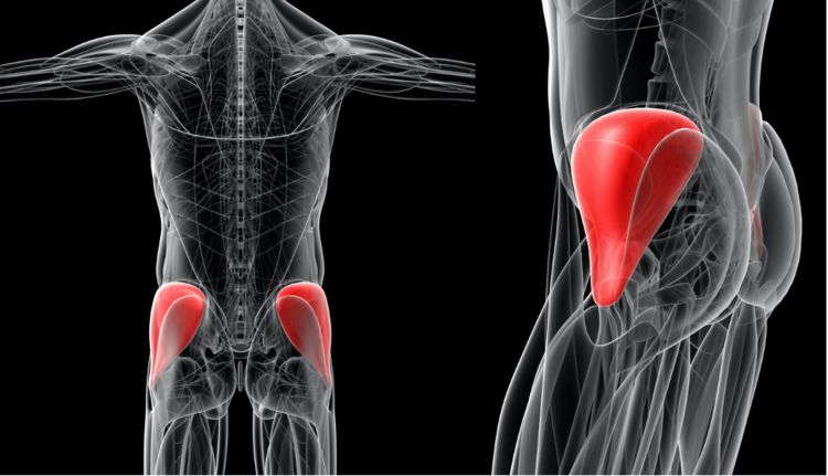 Comparing Gluteus Medius Tendinopathy Injections and Surgery Outcomes –  Caring Medical Florida