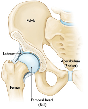 Gluteus Medius and Minimus Tears, Frisco, TX