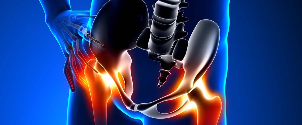 Illustration of the hip joint and pelvis