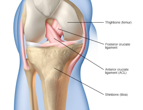 ACL surgery – Which graft is best?